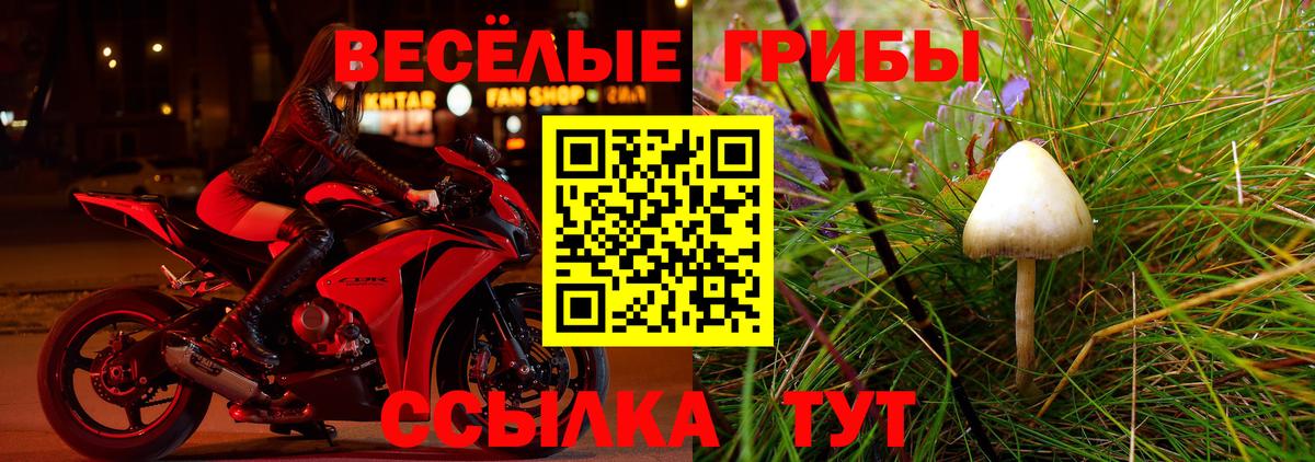 Галлюциногенные грибы мухоморы Новоалтайск